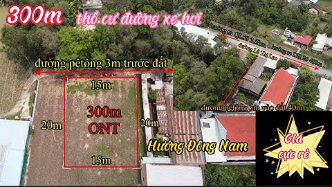 ❤️ 300m thổ cư ngang 15x20m lô 2 đường nhựa Lê Thị Lục Phước Lâm Cần Giuộc giá đầu tư