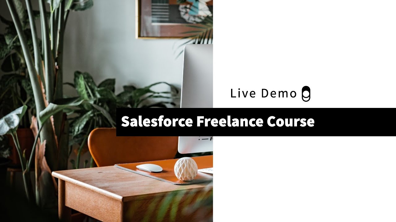 Salesforce Freelance Course Demo