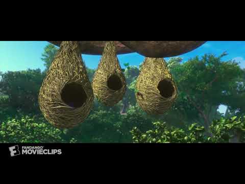 rio-1-5-movie-clip-real-in-rio