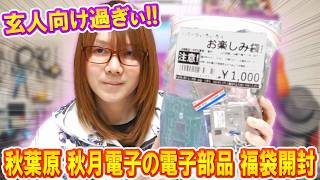 【福袋】玄人過ぎぃ!!秋月電子1,000円の電子部品ジャンク福袋開封で謎パーツ続出【電子工作】