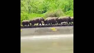 Leja Menu Door Kitte