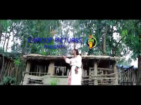 የኔአለም አባይ ነው ወይጻና ፍቅር ደጂ ያስጸና 