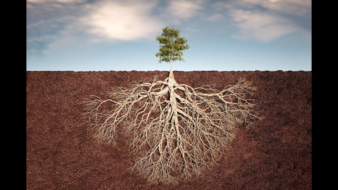 Roots Go Deep Dub: Maskani Music