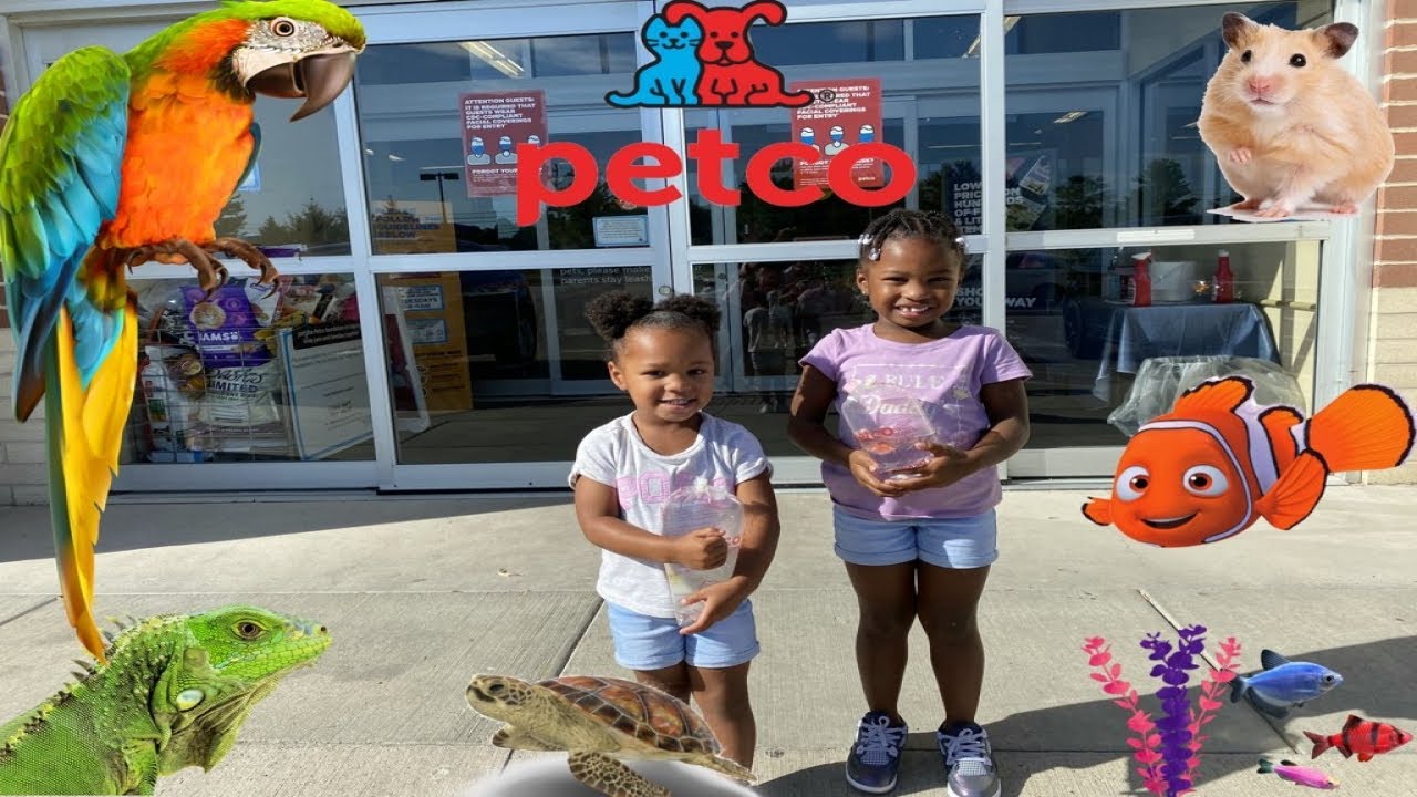 Mystery Animals 😱 Family Trip To Petco I Didnt Know Petco Sold These 😱 YouTube