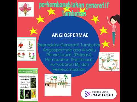 PERKEMBANGBIAKAN GENERATIF