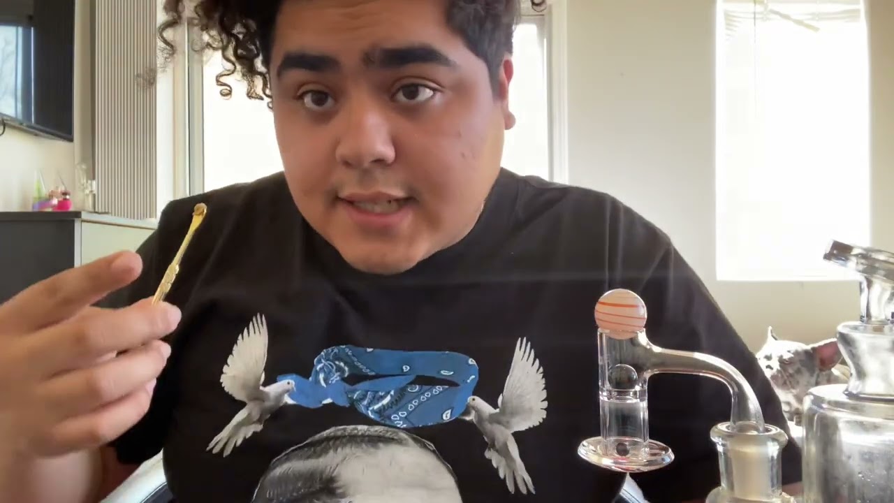 Strain review: brand: AMA : Han Solo hash plant