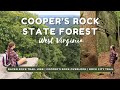 Hiking, Overlooks, and Rattlesnakes | Coopers Rock State Forest, West Virginia