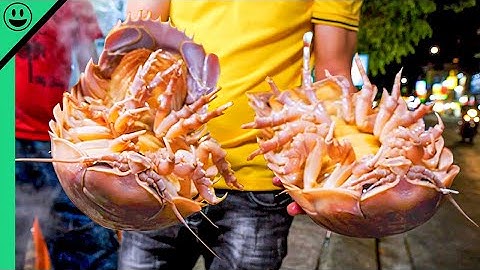 Massive Sea Cockroaches Are Taking Over Asia! The World