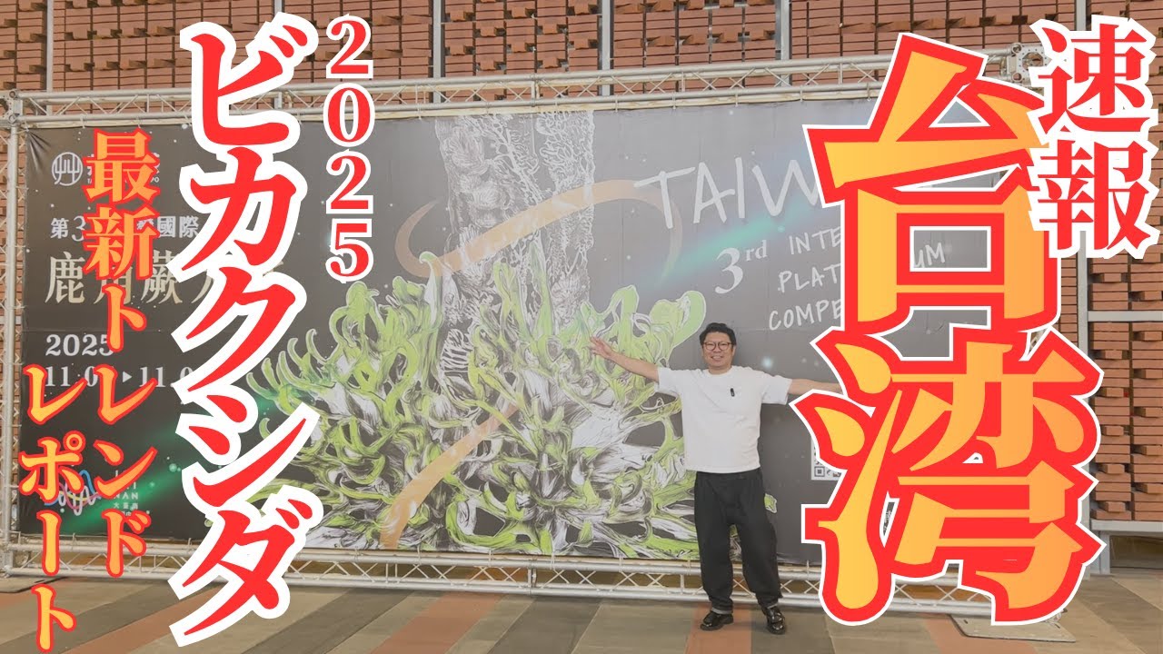 今後のビカクシダのトレンドを決めるのはここ！最新の台湾ビカクシダをレポート！【第3回台湾ビカクシダ大賞】
