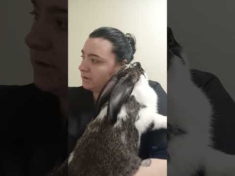 🐰🐇 тоже болеют