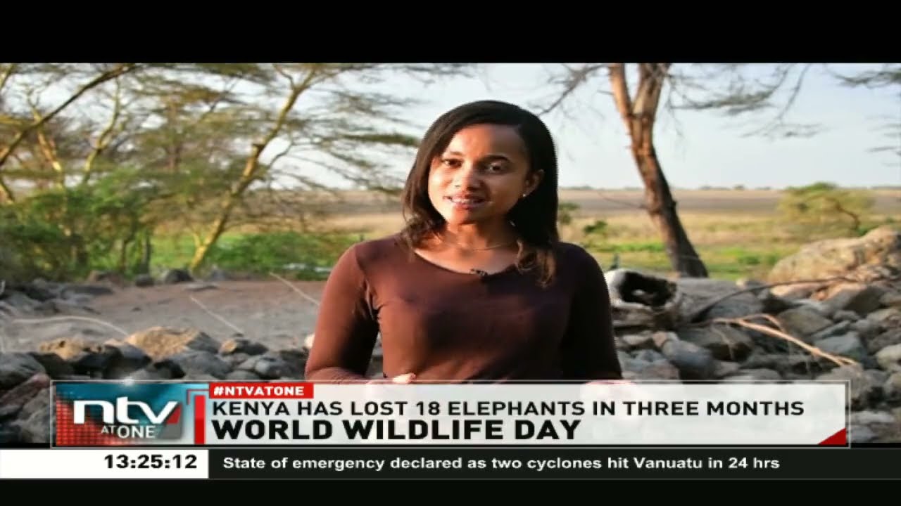 Kenya Marks world wildlife day themed Partnerships for Wildlife Conservation