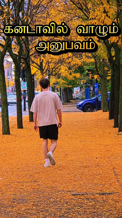 கனடாவின் அழகை வார்த்தைகளால் சொல்ல முடியாது #shortsfeed #ytshorts