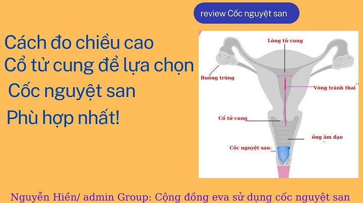 Đo chiều dài cổ tử cung bằng cách nào năm 2024