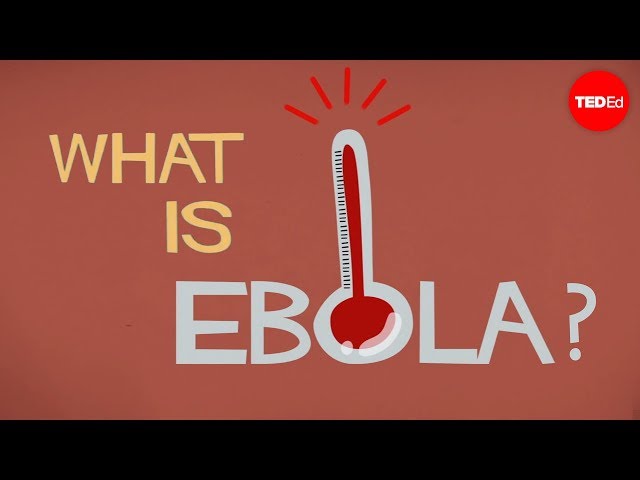 What we know (and don't know) about Ebola - Alex Gendler class=