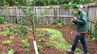 Small Space, Big Harvest | Urban Foodscape Tour