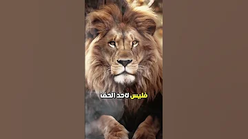 نحن لا ن عدل حسب المقاسات إما الق بول أو الرحيل كن نفسك الهوية شجاعة BeYourself AuthenticityMatt 
