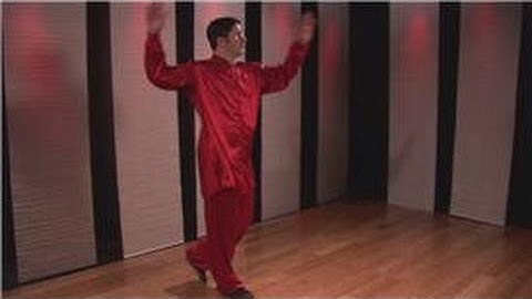 Kung Fu : Northern Style Pressing Block, Spear, Toe Kick & Lunge Punch Combo