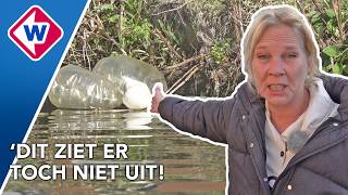 Booteigenaren Zijn Troep En Crackboten In Haagse Binnenwater Zat