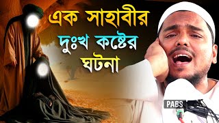 Videoda xoroz va mushuk