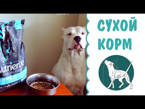 Выбор сухого корма для собак | кормление собак | сухой корм для собак