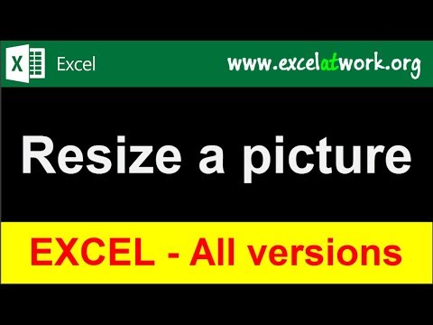 Resize a picture - Learn Excel Fast
