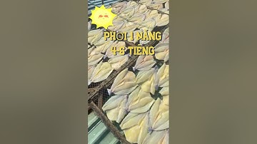 Món Qùa Thiên Nhiên |Cá Dứa 1 Nắng| Hàng Sịn 100% Chuẩn 2 sọc #Cadua1nang