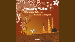 Bir Kez Göreyim Resimi