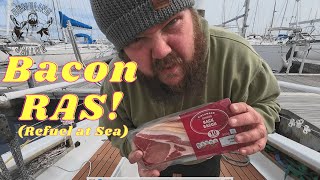 Delivering BACON in a SAILBOAT... Because, WHY NOT?