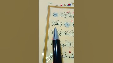 سورة ص الأية 17 إلى 21 القارئ سعد الغامدي #قران_كريم