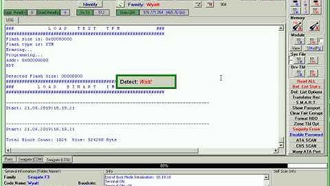 Seagate Wyatt Cut Head