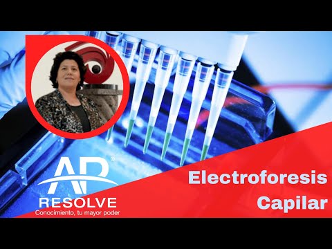 Video: ¿Cómo funciona la electroforesis capilar?