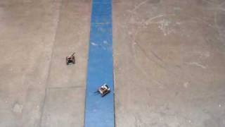 MEM456 Cat - Mouse Project:  Static Mouse