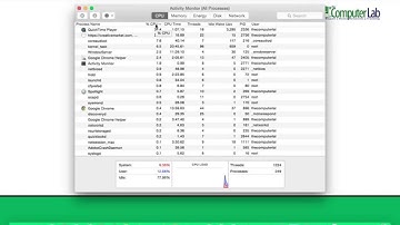 Using Mac OS X Activity Monitor