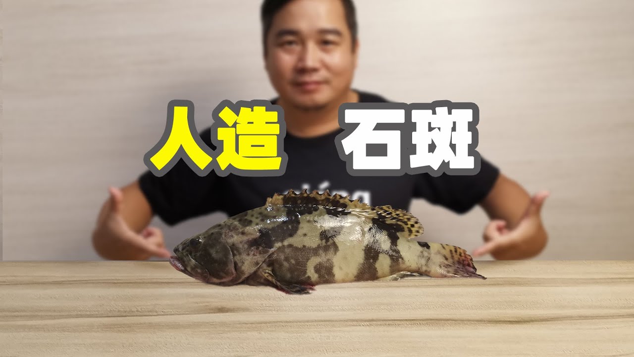 这可能是您吃过最多的石斑鱼，但您知道它是科学人为创造的吗