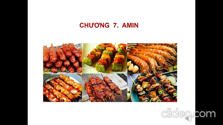 Báo cáo thực hành hóa hữu cơ amin protein năm 2024