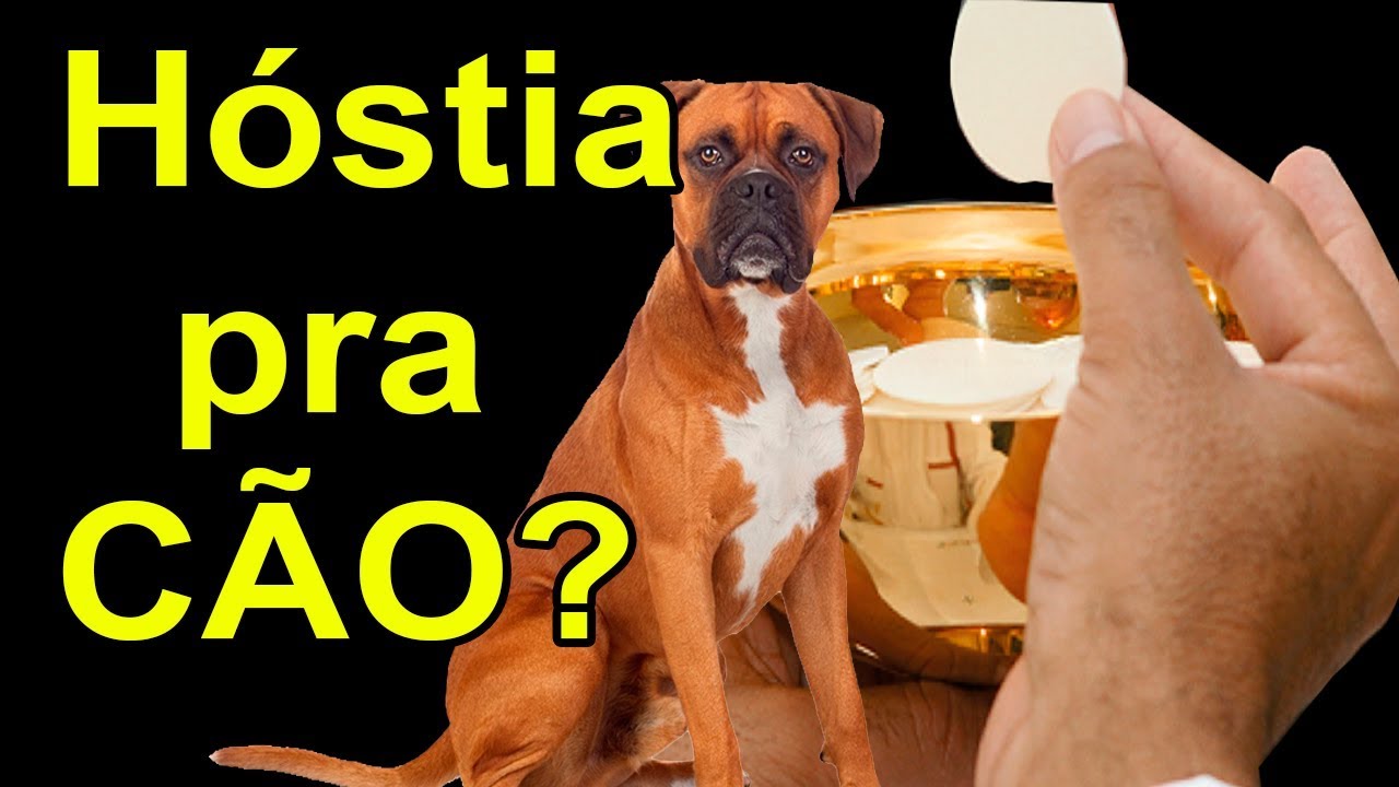 palavra do dia na bíblia MULHER DÁ HÓSTIA PRA CÃO