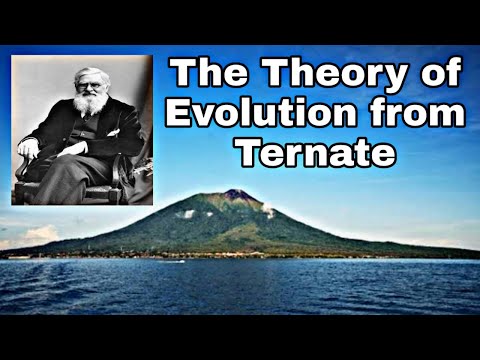 Video: Apa teori seleksi alam Wallace?