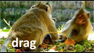 Million Pity Milion Sad Mom Jane Pull Baby Janna From Bro Tesana Tesana Drag Janna Back