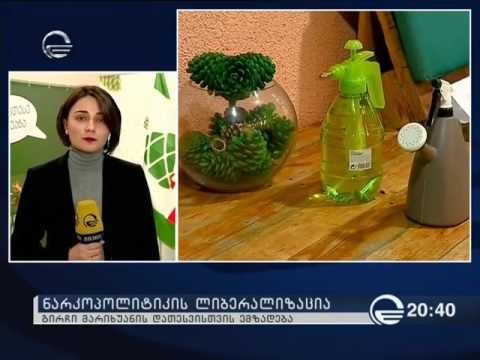 იმედის სიუჟეტი გირჩის სამოქალაქო დაუმორჩილებლობის აქტის მზადების შესახებ