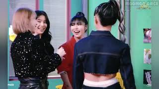 Mamamoo Gay Moments