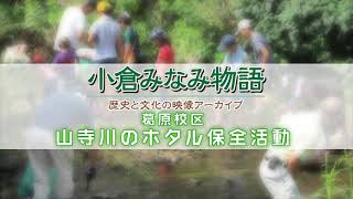 【葛原】山寺川のホタル保全活動