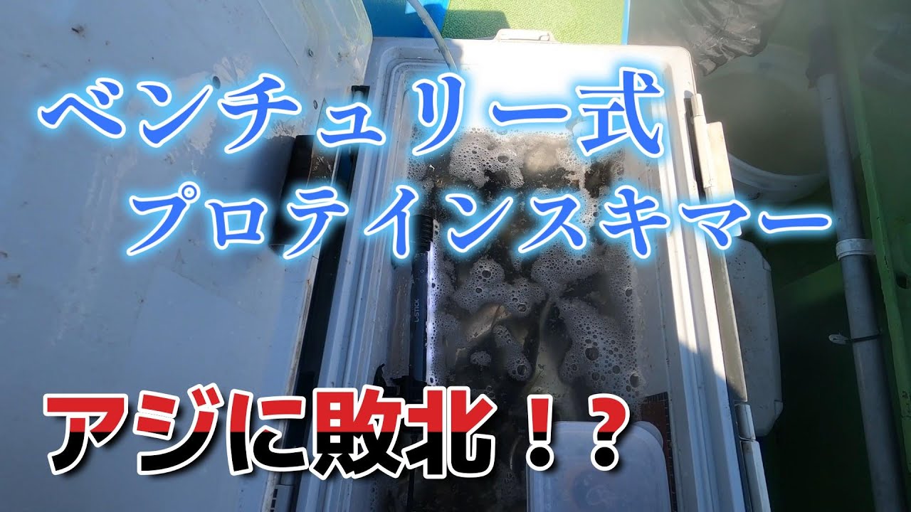 ベンチュリー式プロテインスキマーの実力検査 - YouTube