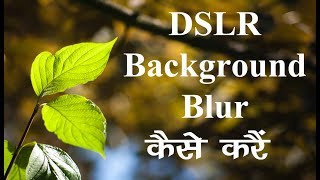 dslr blur background