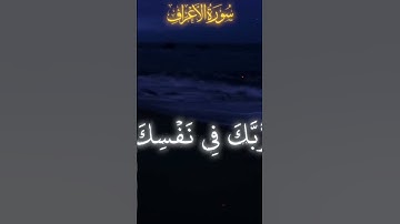 فلسطين حره 🇸🇩 #إسلام_صبحي #تلاوة_خاشعة #لايك #اكسبلور #تلاوة_مؤثرة