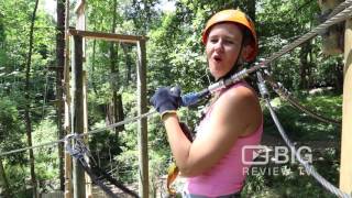 Trees Adventures a Ropes Course in Melbourne for Team Building Activities