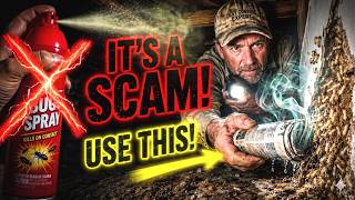 Stop Spraying Termites! You're Feeding a $50,000 Colony Do This 0 Dollar Trick Instead