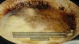 LEIDENFROST EFFECT explained!
