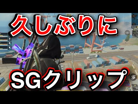 久しぶりにSGクリップ ✨️【CoDモバイルバトロワ】