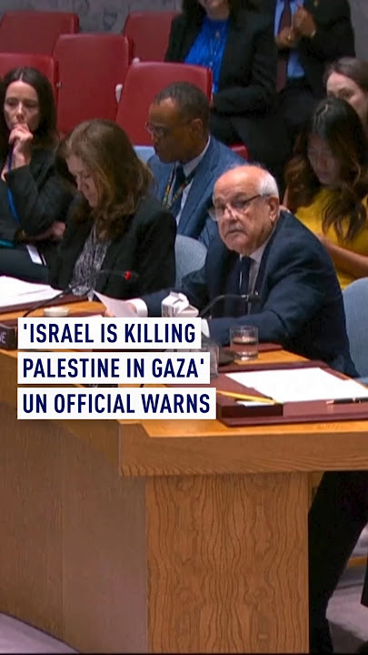 ‘Israel is killing Palestine in Gaza’, UN official warns
