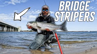 MID DAY BRIDGE STRIPERS for FIRST Spring Run Catches!